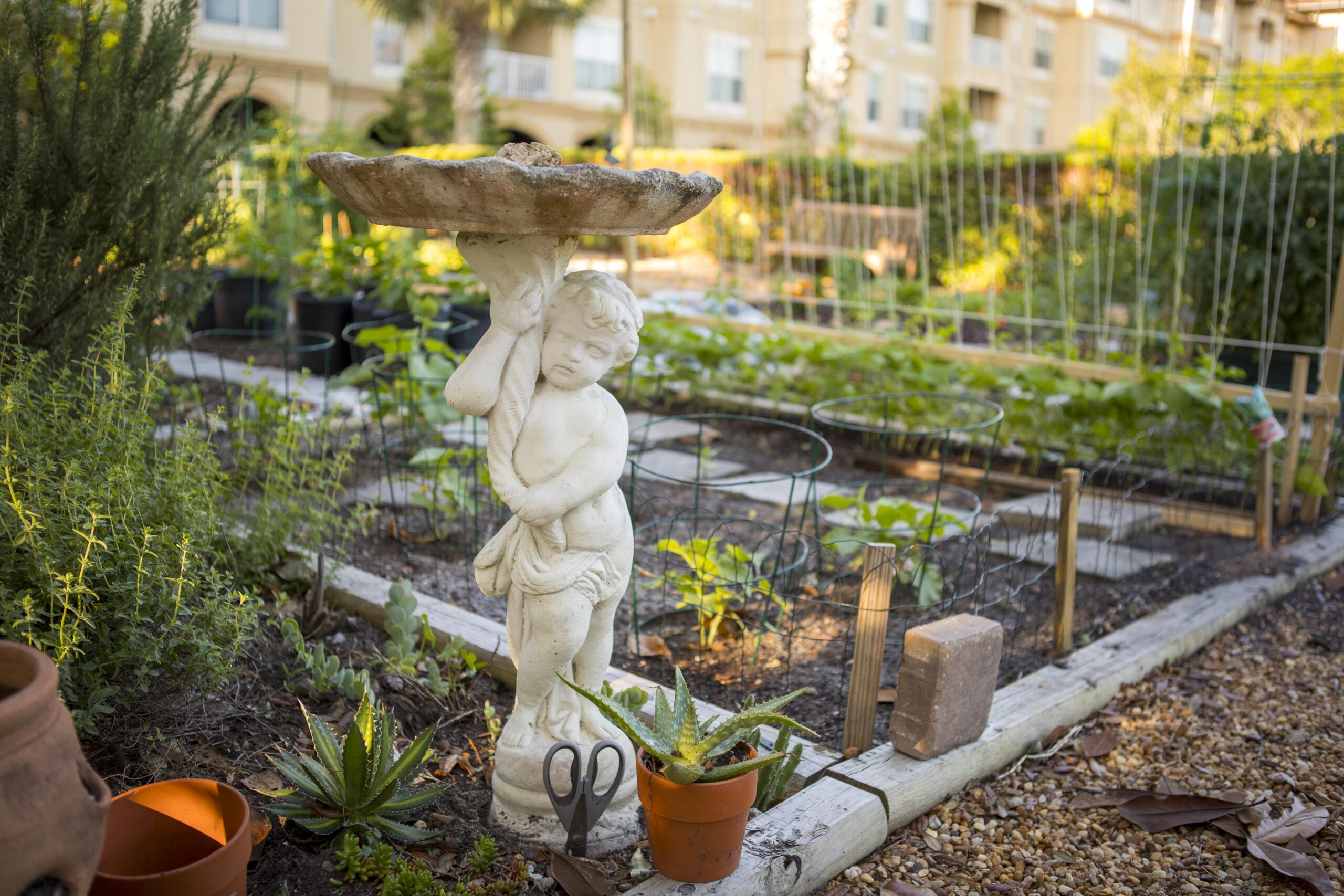 Community Garden